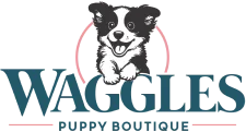 Waggles - Duluth