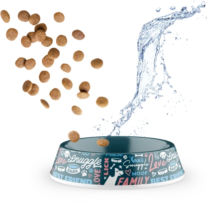 Food and water bowls for your new puppy