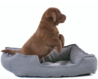 Crate, bedding and grooming care essentials