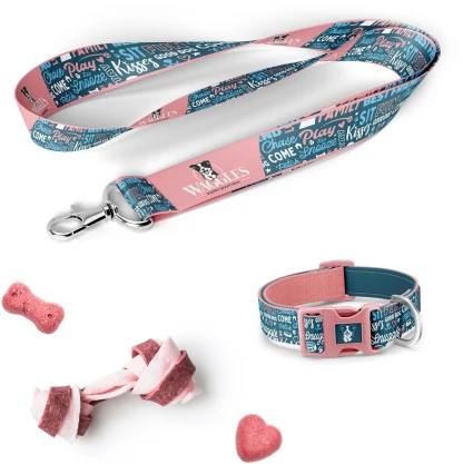 Collar, harness, leash and training supplies