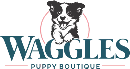 Waggles Duluth