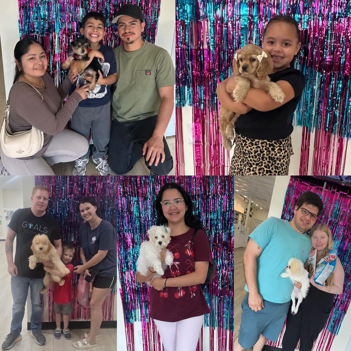 A collage of families and children holding puppies in front of colorful streamers
